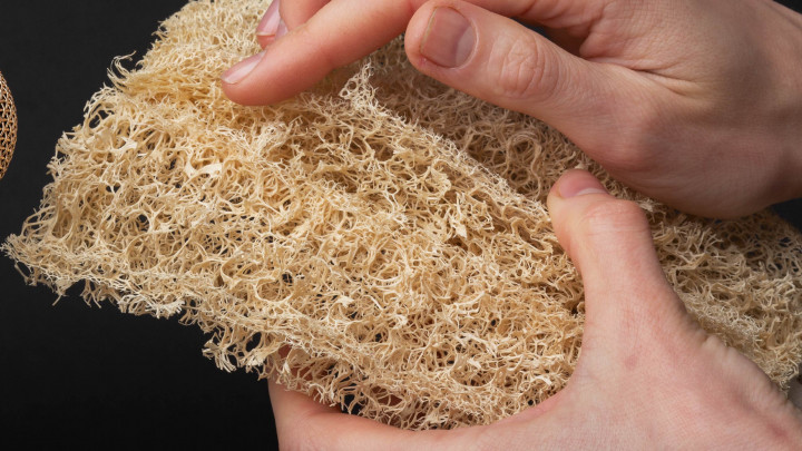 Spons Alami, Mandi Pakai Loofah Bisa Angkat Sel Kulit Mati