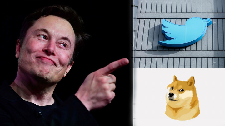Heboh! Elon Musk Ganti Logo Twitter Jadi Anjing Dogecoin