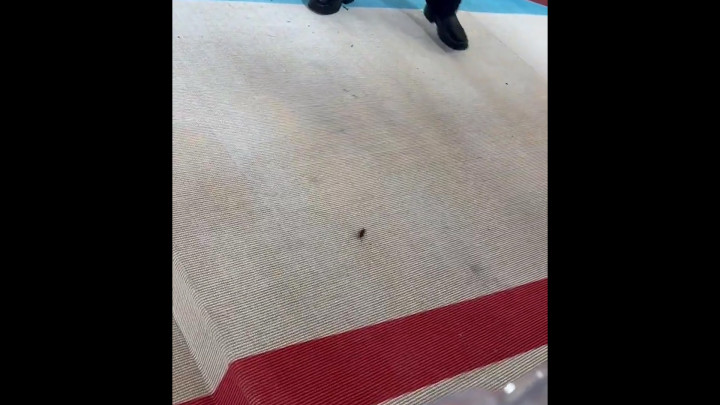 Lucu! Momen Kecoak Berkeliaran di Red Carpet Met Gala 2023