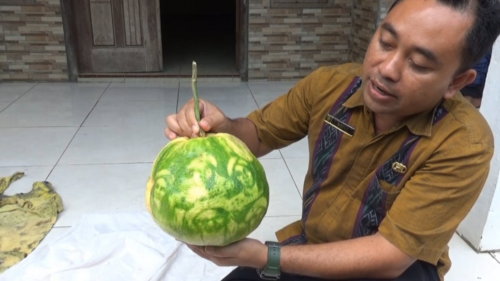 Heboh! Warga Batealit Temukan Kulit Jeruk Bali Gambar Wali Songo