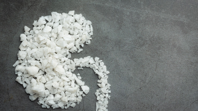 Hal yang Terjadi pada Tubuh Jika Memiliki Satu Ginjal