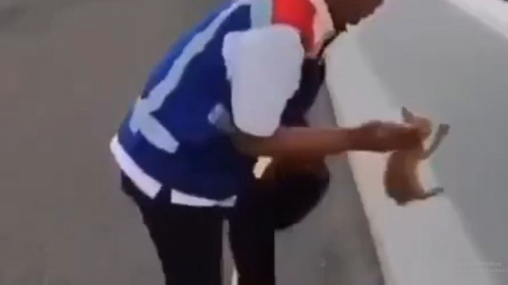 Aksi Heroik Petugas Selamatkan Kucing di Ruas Tol Becakayu