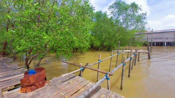 Wisata Mangrove Sungsang IV Banyuasin Jadi Wisata Terbaik Se-Indonesia