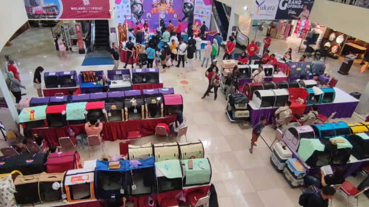 Ratusan Kucing Ikut Internasional Cat Show 2023 di Malang