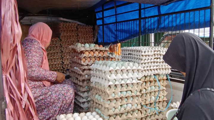 Jelang Iduladha, Harga Telur Ayam di Polman Meroket