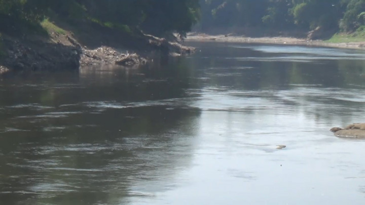Miris! Sungai Bengawan Solo Hitam Pekat Akibat Tercemar Limbah