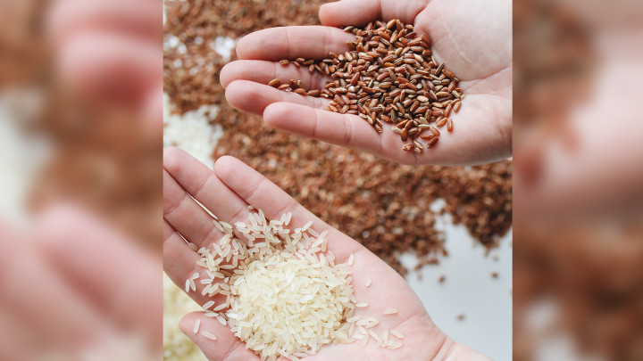 5 Makanan Tinggi Karbohidrat yang Sangat Menyehatkan