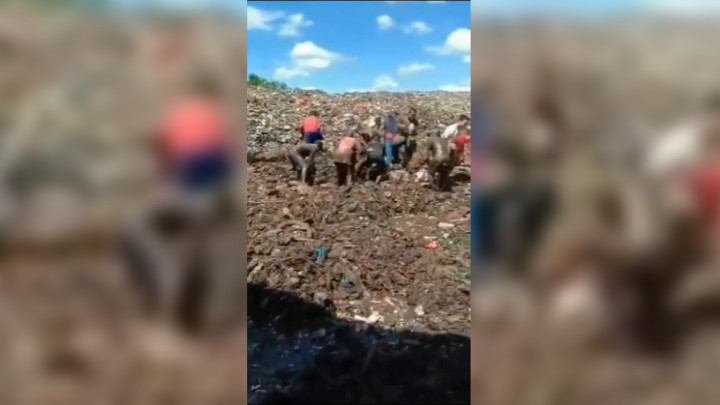 Miris! Warga Bengkalis Berebut Daging Impor Ilegal dari India