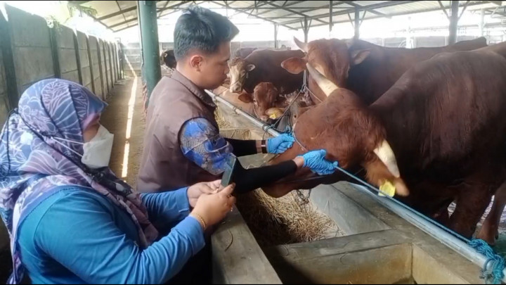 Pemkot Bekasi Jamin Hewan Kurban Layak dan Bebas PMK