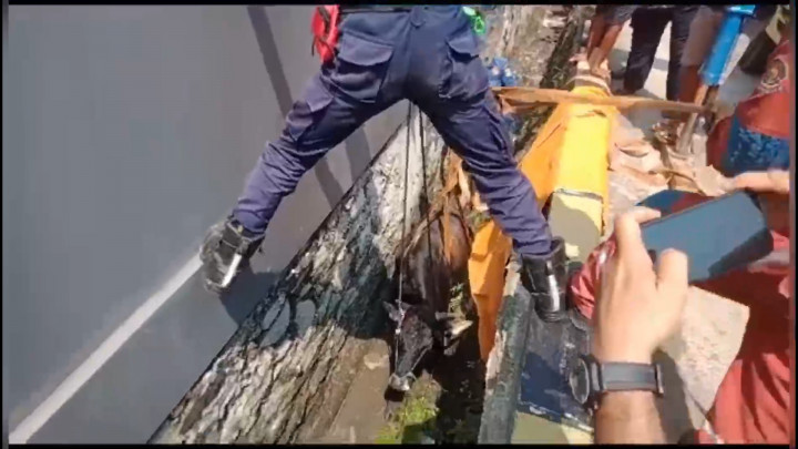 Heboh! Evakuasi Sapi Kurban Terperosok ke Selokan Air di  Bekasi