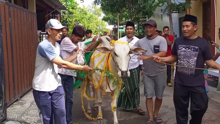Meriah! Warga Rembang Hias dan Arak Hewan Kurban Sebelum Disembelih