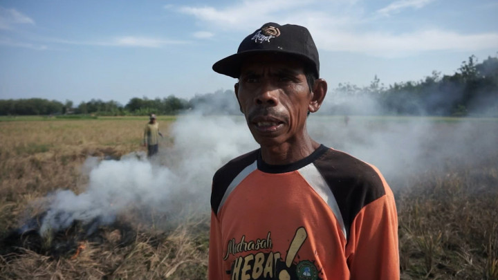 Frustasi Gagal Panen, Petani di Tuban Nekat Bakar Padi