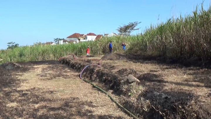 ODGJ Berulah, Lahan Tebu Satu Hektare Ludes Dibakar di Magetan