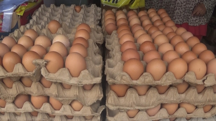 Harga Telur Masih Tinggi, Perajin Kue Bolu di Lampung Terpaksa Gulung Tikar