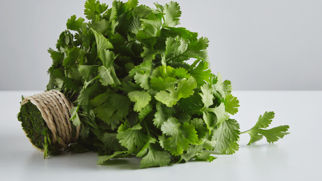 3 Manfaat Luar Biasa Daun Ketumbar Bagi Kesehatan Tubuh!