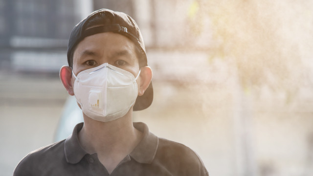 3 Makanan Tinggi Antioksidan untuk Bantu Hadapi Efek Polusi!