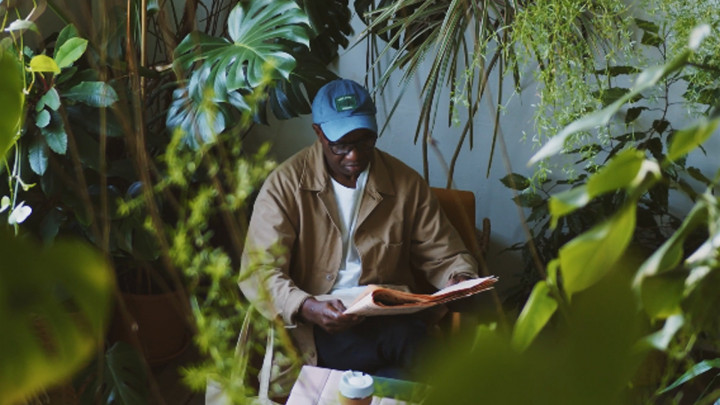 Anti Layu, 6 Tanaman Hias Ini Tahan Panas Matahari