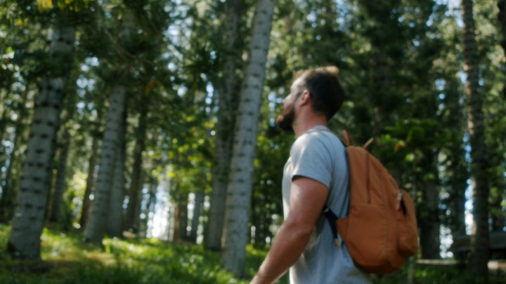 Ingin Traveling Tanpa Tour Guide? Berikut 5 Tipsnya!