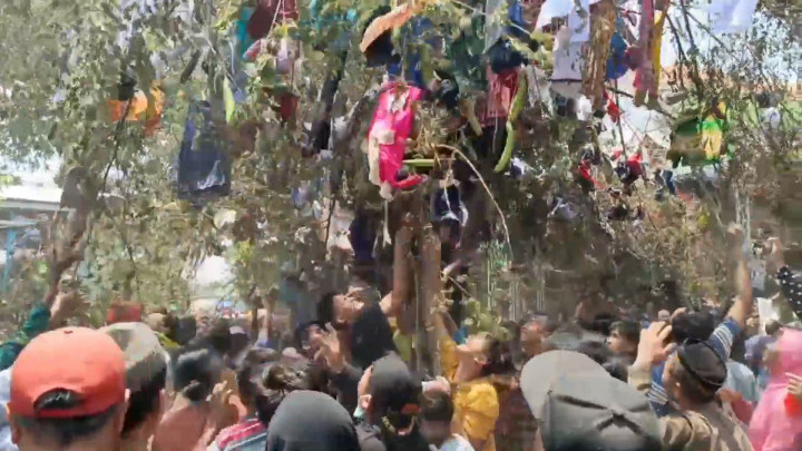 Peringati Maulid Nabi Muhammad, Ratusan Warga Mojokerto Berebut Hadiah di Atas Pohon