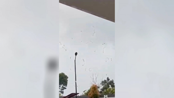 Viral! Diterjang Angin Kencang, 13 Rumah Warga Rejang Lebong Rusak