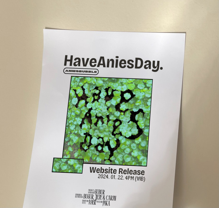 Anies Bubble Rilis Website Haveaniesday.com, Apa Saja Isinya?