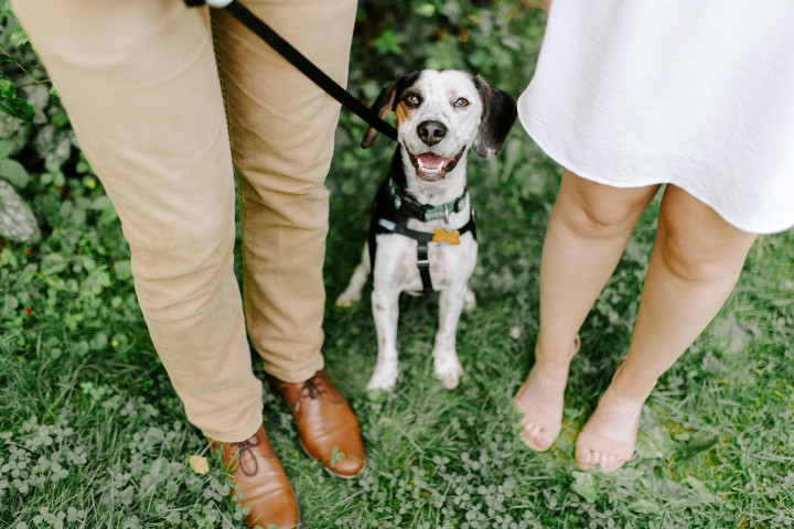 Tips Menitipkan Hewan Peliharaan saat Kamu Mudik Lebaran