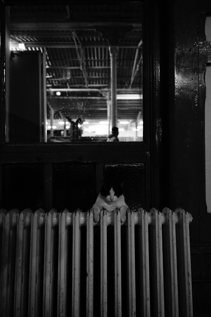 Jenis-Jenis Water Heater yang Umum Digunakan