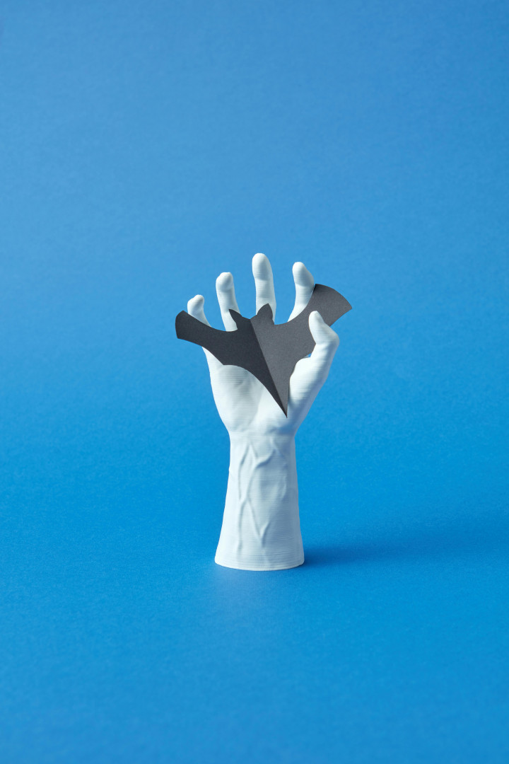 Cara Usir Kelelawar dari Rumah