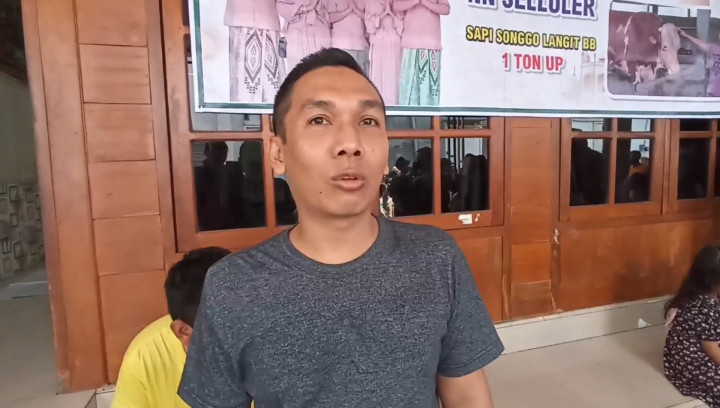 Heboh! Sapi 1 Ton di Kendal Ngamuk, 15 Orang Turun Tangan