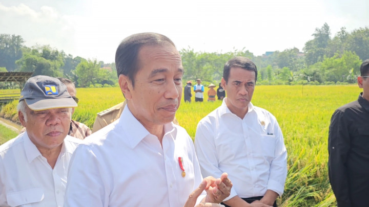 Terjunkan 4.300 Pompa, Jokowi Targetkan Kenaikan Panen Padi 1,3 Juta Ton