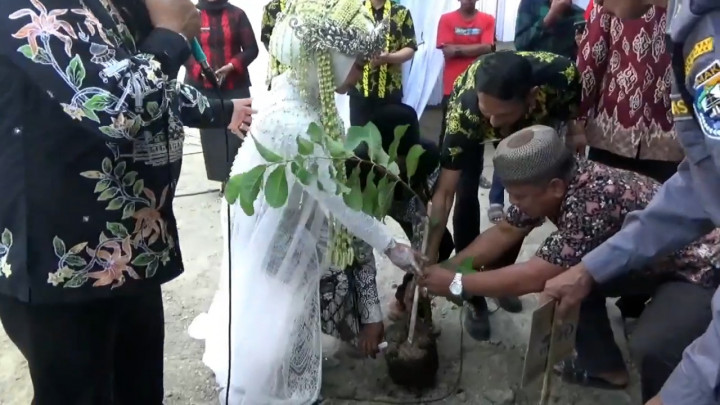Kurangi Dampak Abrasi, Pemdes Surodadi Wajibkan Pengantin Tanam Bibit Pohon