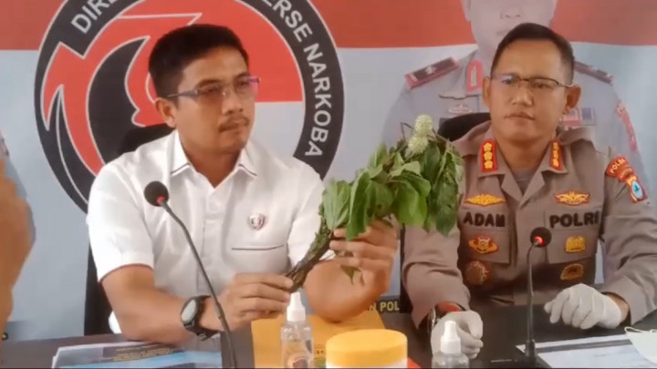 Fenomena Mabuk Kecubung di Kalsel, Polisi Lakukan Uji Lab