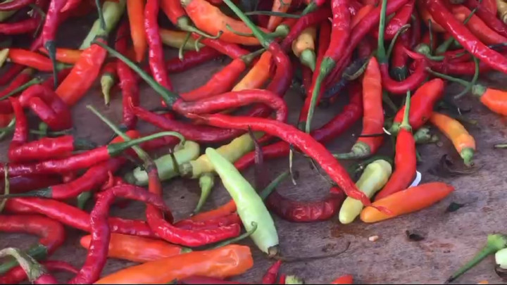 Harga Cabai Caplak di Lampung Merangkak Naik