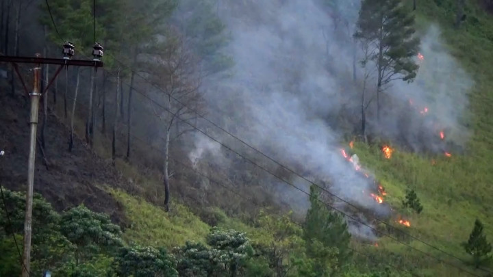 Karhutla di Samosir Meluas, Wilayah yang Terbakar Capai 350 Hektare