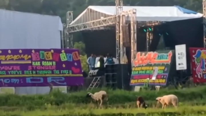 Agak Lain! Pria di Lampung Gelar Pesta Perceraian