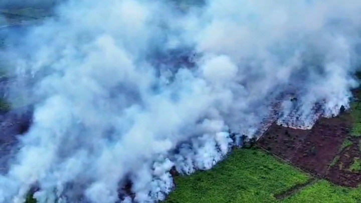 Karhutla Kembali Lalap Puluhan Hektar Lahan Gambut di Kabupaten Kubu Raya Kalbar