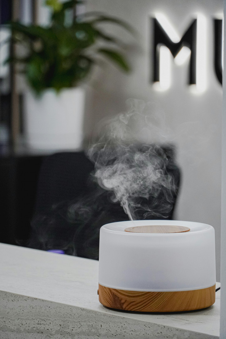 Ketahui Manfaat Humidifier untuk Kesehatan