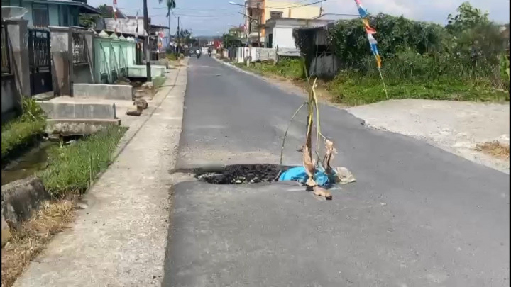 Protes Pemerintah, Warga Tanam Pisang di Tengah Jalan Penghubung Kerinci dan Sungai Penuh
