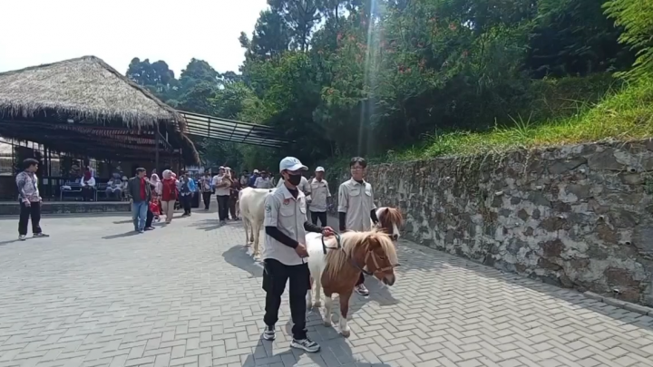 Sambut HUT ke-79 RI, Kebun Binatang Lembang Gelar Parade