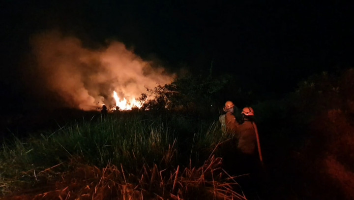 Lahan Seluas 5 Hektare di Cilegon Terbakar