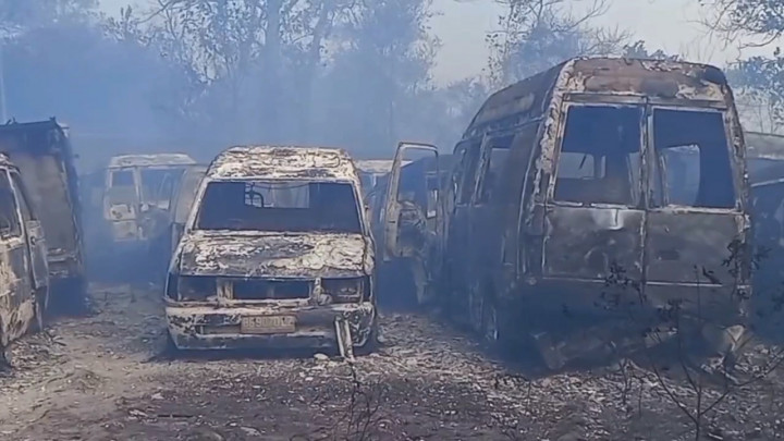 24 Unit Kendaraan Dinas Hangus dalam Karhutla di Pangkalpinang