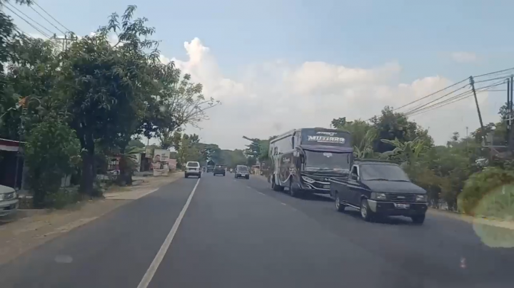 Polisi Ngawi Kejar-Kejaran Tangkap Pencuri Pembalakan Liar