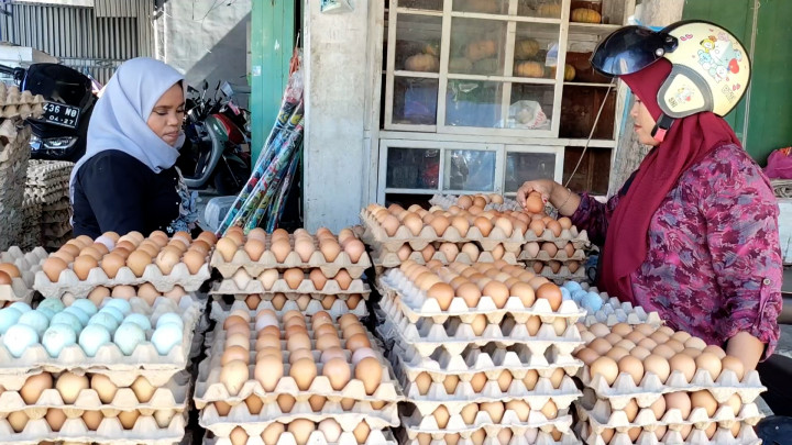Jelang Maulid, Harga Telur di Sulbar Melonjak