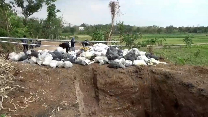 Gegerkan Warga Jepara, Ribuan Butir Limbah Obat Psikotropika Dibakar Sembarangan