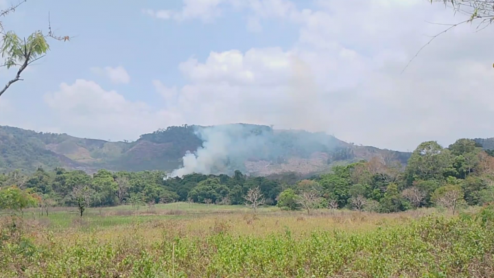 Karhutla di Flores Timur Kembali Melanda, Api Meluas ke Pertanian Warga