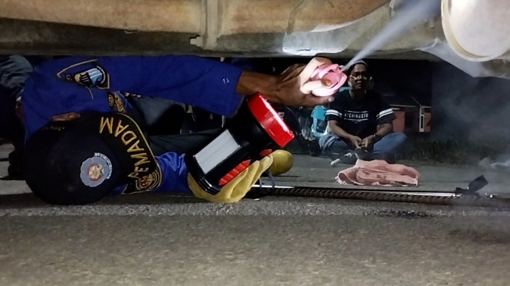 Ngeri! Petugas Damkar Evakuasi Ular King Kobra di Mobil Warga