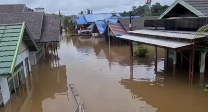 Banjir Terjang Kalimantan Tengah, Warga Berujung di Evakuasi