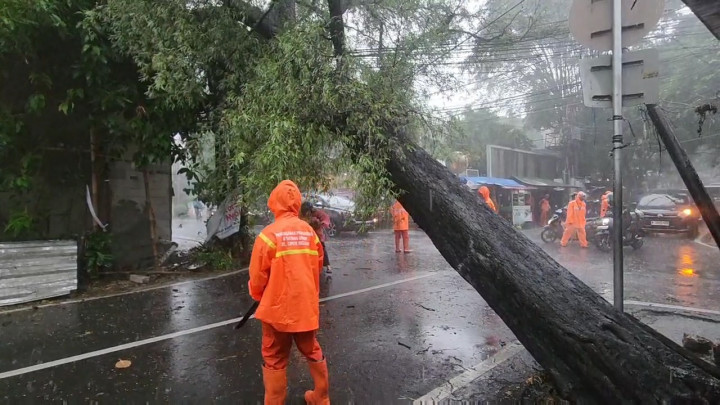 Pohon Asem di Cepete Tumbang Akibat Hujan Deras, Lalin Terganggu!