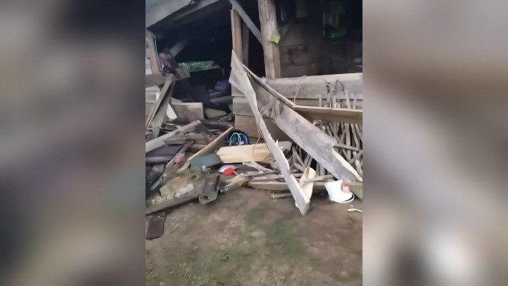 Kawanan Gajah Liar Terjang Pemukiman, 15 Rumah Warga Rusak