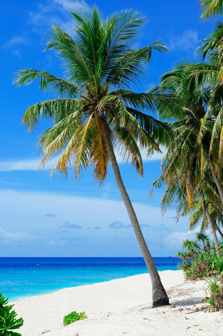 Liburan ke Pantai? 7 Aktivitas Seru Ini Jangan Sampai Terlewatkan!